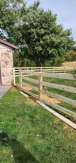 image15